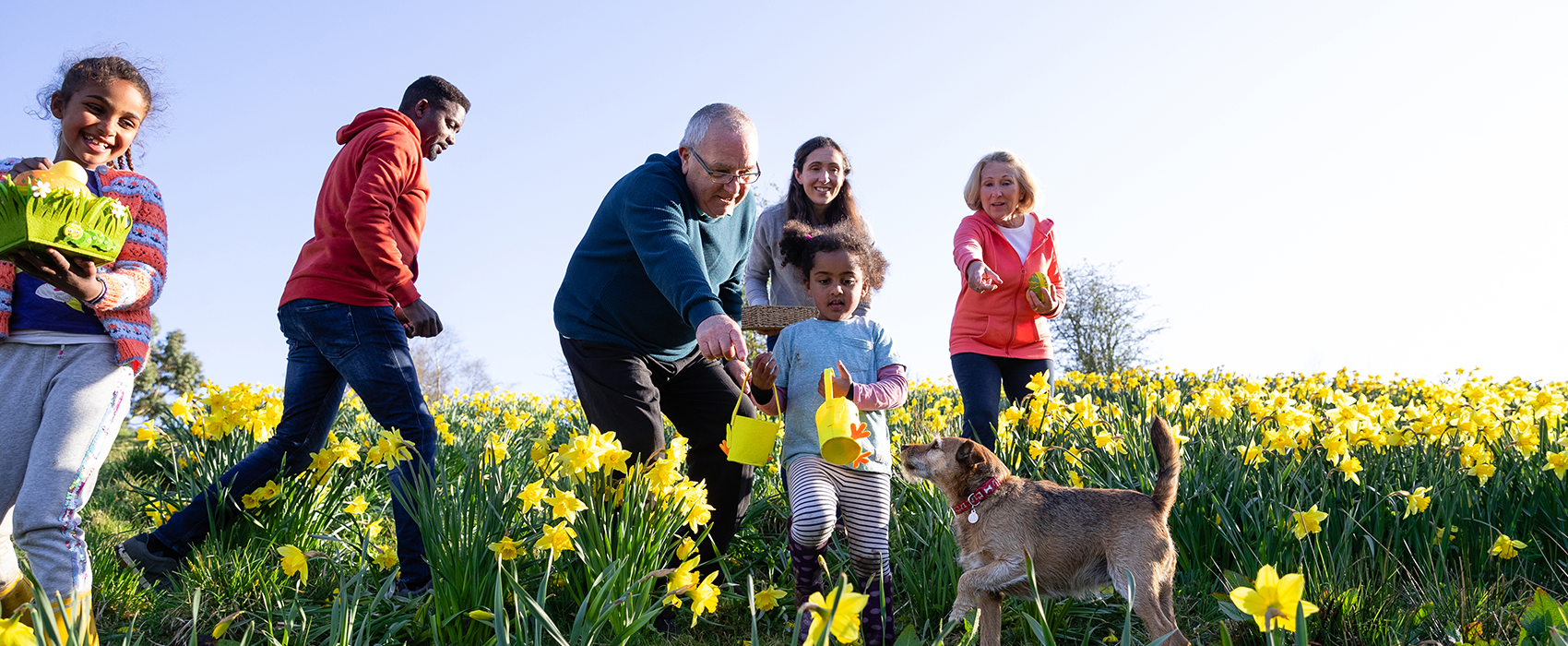 Easter egg hunt