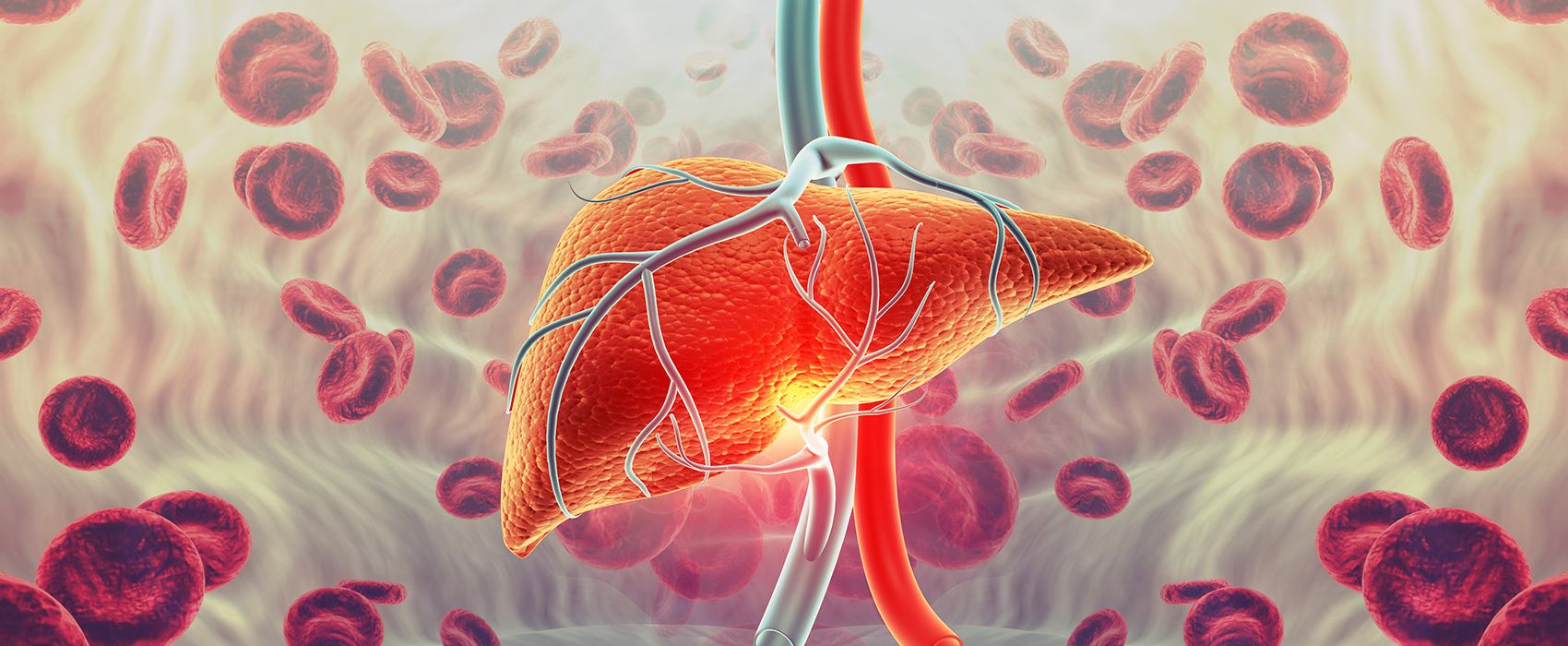 Liver